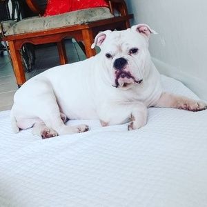 Meet your Posher, Alexis